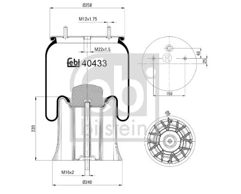 1x Bellow, air suspension
