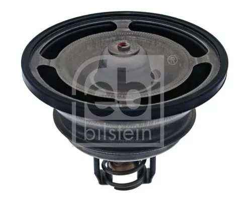 1x Thermostat, coolant