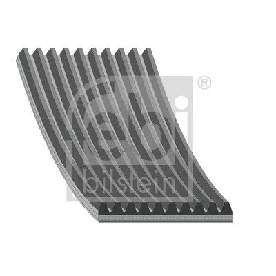 1x V-Ribbed Belt