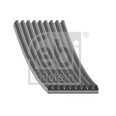 1x V-Ribbed Belt
