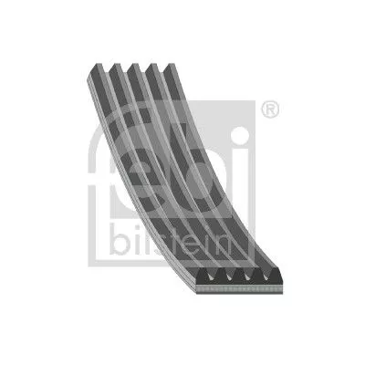 1x V-Ribbed Belt