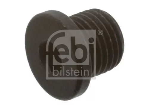1x Screw Plug, oil sump