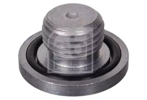 1x Screw Plug, oil sump