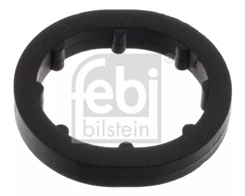 1x Seal Ring, oil cooler (lubrication)