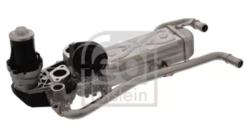 1x EGR Module