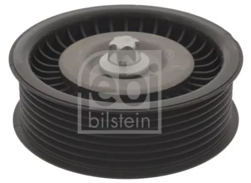 1x Deflection/Guide Pulley, V-ribbed belt