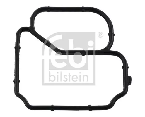 1x Gasket, thermostat housing