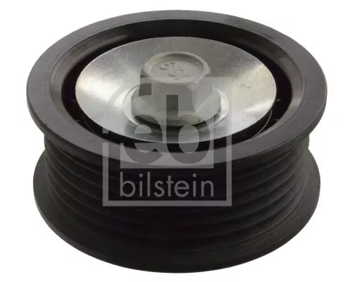 1x Deflection/Guide Pulley, V-ribbed belt