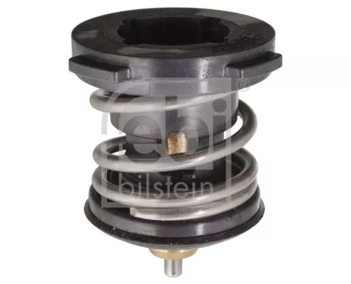 1x Thermostat, coolant