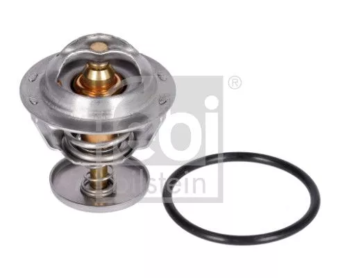 1x Thermostat, coolant