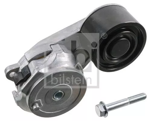 1x Belt Tensioner, V-ribbed belt