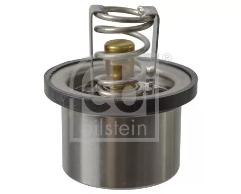 1x Thermostat, coolant
