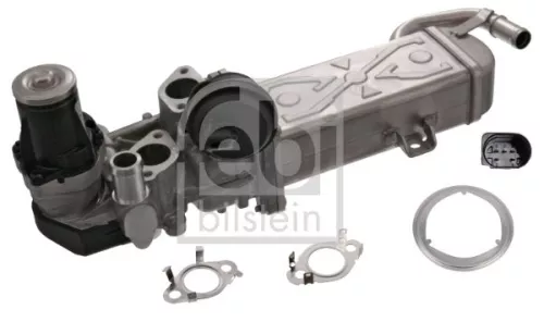 1x EGR Module