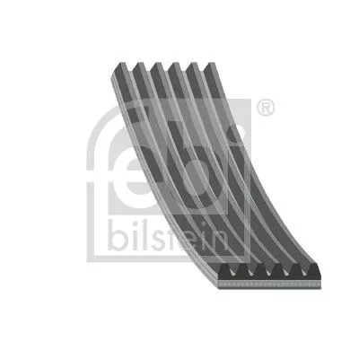 1x V-Ribbed Belt