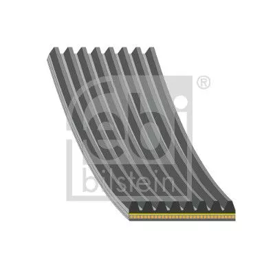 1x V-Ribbed Belt