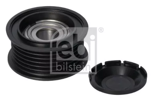 1x Deflection/Guide Pulley, V-ribbed belt