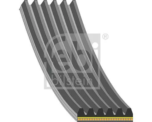 1x V-Ribbed Belt