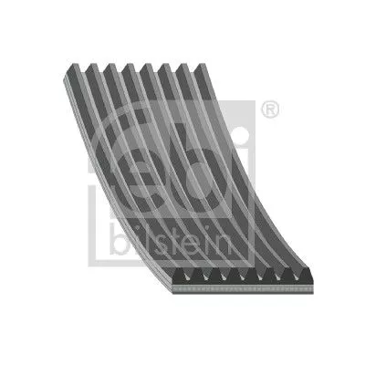 1x V-Ribbed Belt