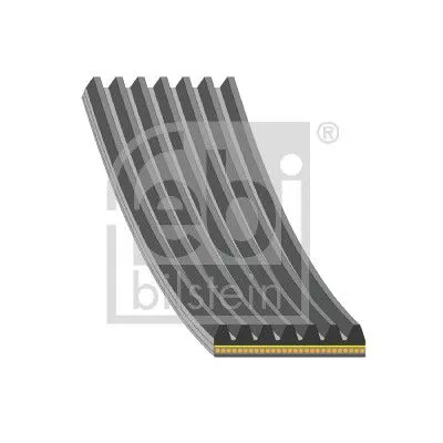 1x V-Ribbed Belt