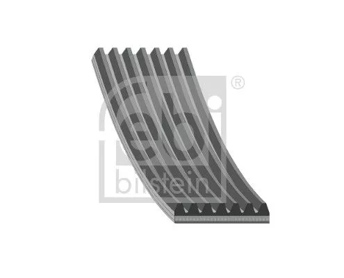 1x V-Ribbed Belt