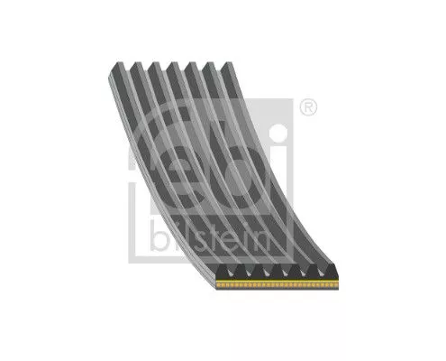 1x V-Ribbed Belt