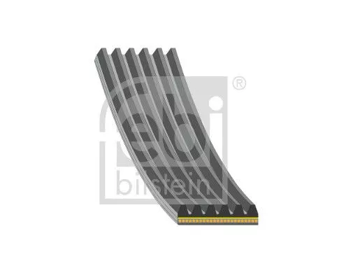 1x V-Ribbed Belt