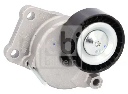 1x Belt Tensioner, V-ribbed belt