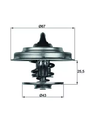 Thermostat, coolant