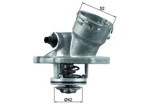 Thermostat, coolant