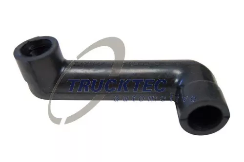 Hose, cylinder head cover ventilation