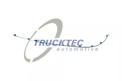 Trim/Protection Strip, bumper