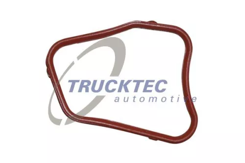 Gasket, thermostat housing