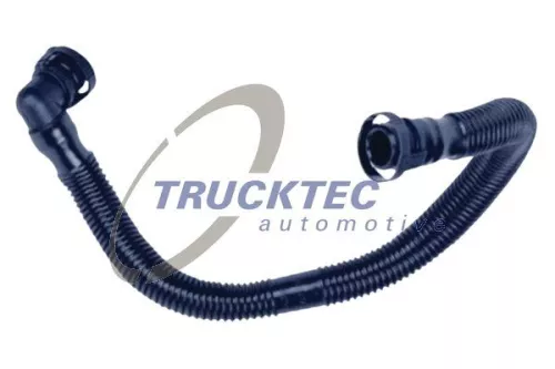 Hose, crankcase ventilation