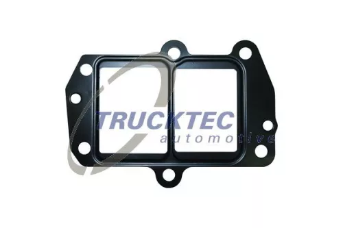 Gasket, EGR valve