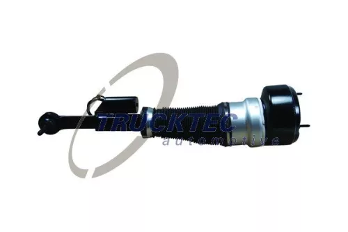 Air Suspension Strut