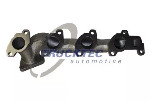 Manifold, exhaust system