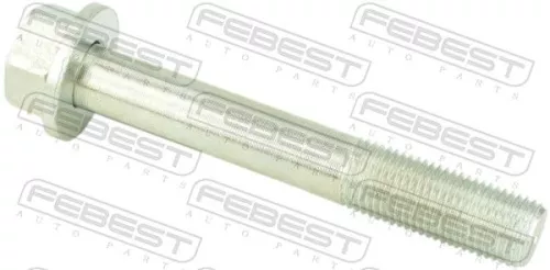 Camber Correction Screw