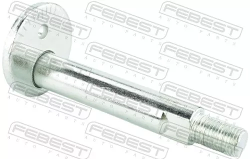 Camber Correction Screw