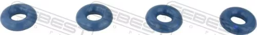 Seal Ring, injector