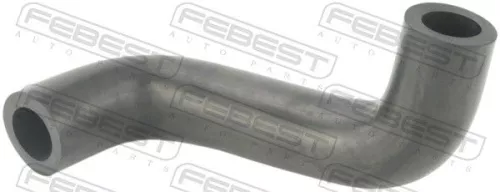 Hose, crankcase ventilation