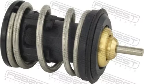 Thermostat, coolant
