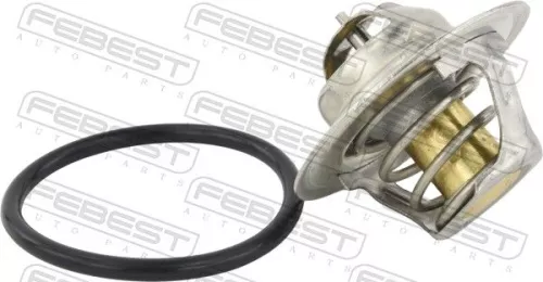 Thermostat, coolant