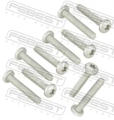 Fastening Bolt, control arm