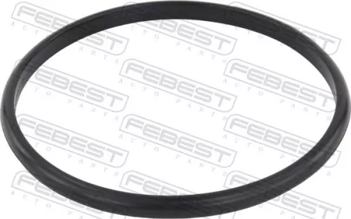 Seal Ring, oil cooler