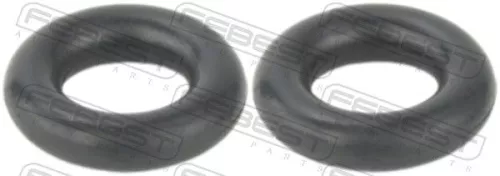 Seal Ring, injector