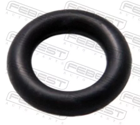 Seal Ring, injector