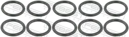 Seal Ring, injector