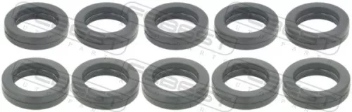 Seal Ring, injector