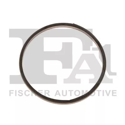 Seal Ring, exhaust pipe