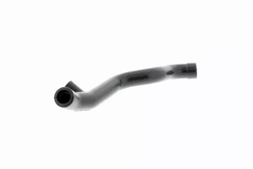 Hose, cylinder head cover ventilation
